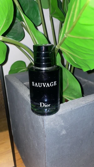 Dior sauvage parfume 60 ml - Säljer min Dior Sauvage parfume, 60 ml, kartong finns, inget kvitto, ÄKTA. I princip full!!!