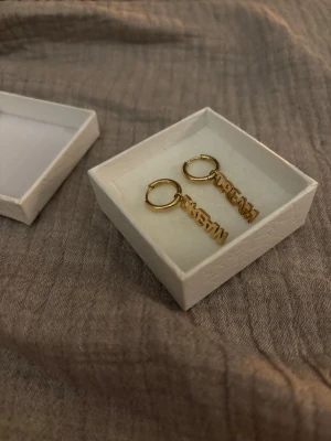 Guldiga örhängen med text - Säljer ett par trendiga guldiga hoops med hängen där det står 'DREAM' i blockbokstäver från Edblad. Örhängena är små och runda, perfekta för att ge din look en cool och personlig touch. Aldrig använda. 