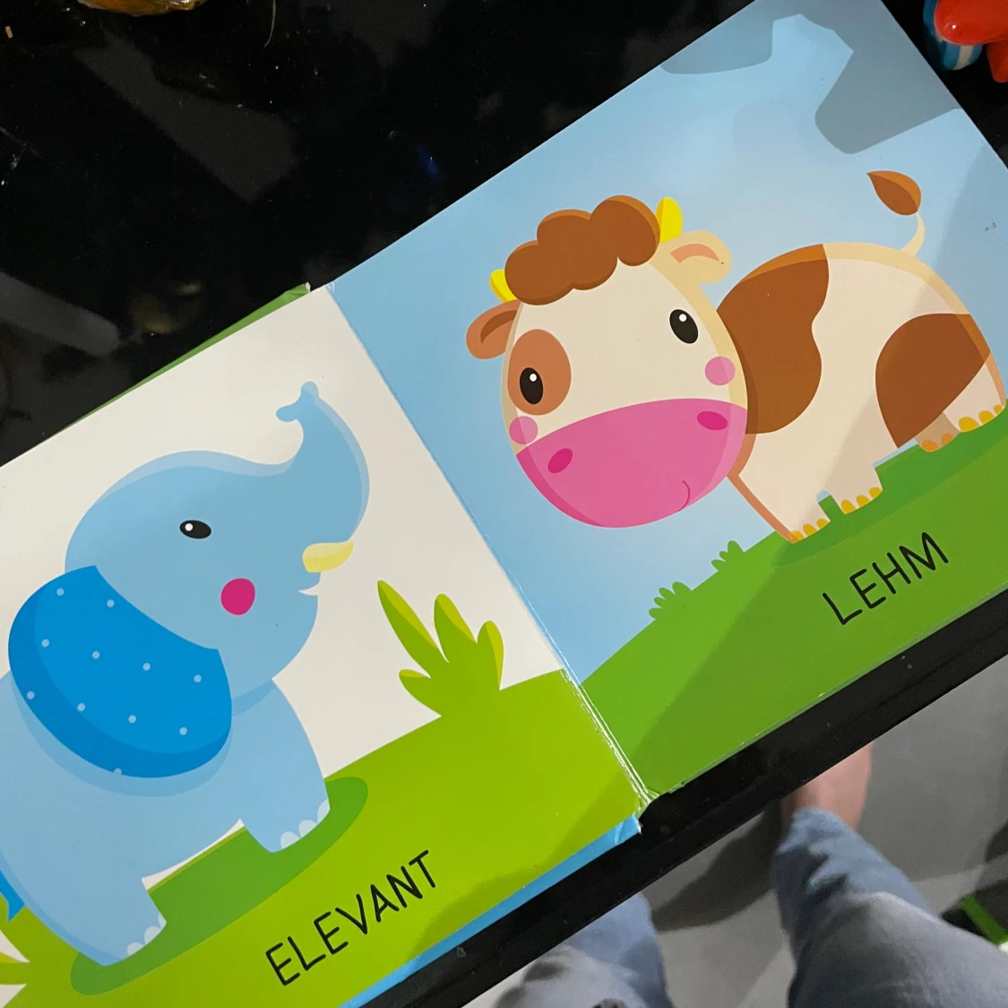 Mis loomad need on? - 2