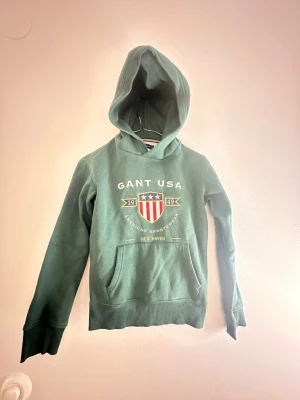 Ganthoodie grön - Grön ganthoodie i strl 146/152, fint skick 