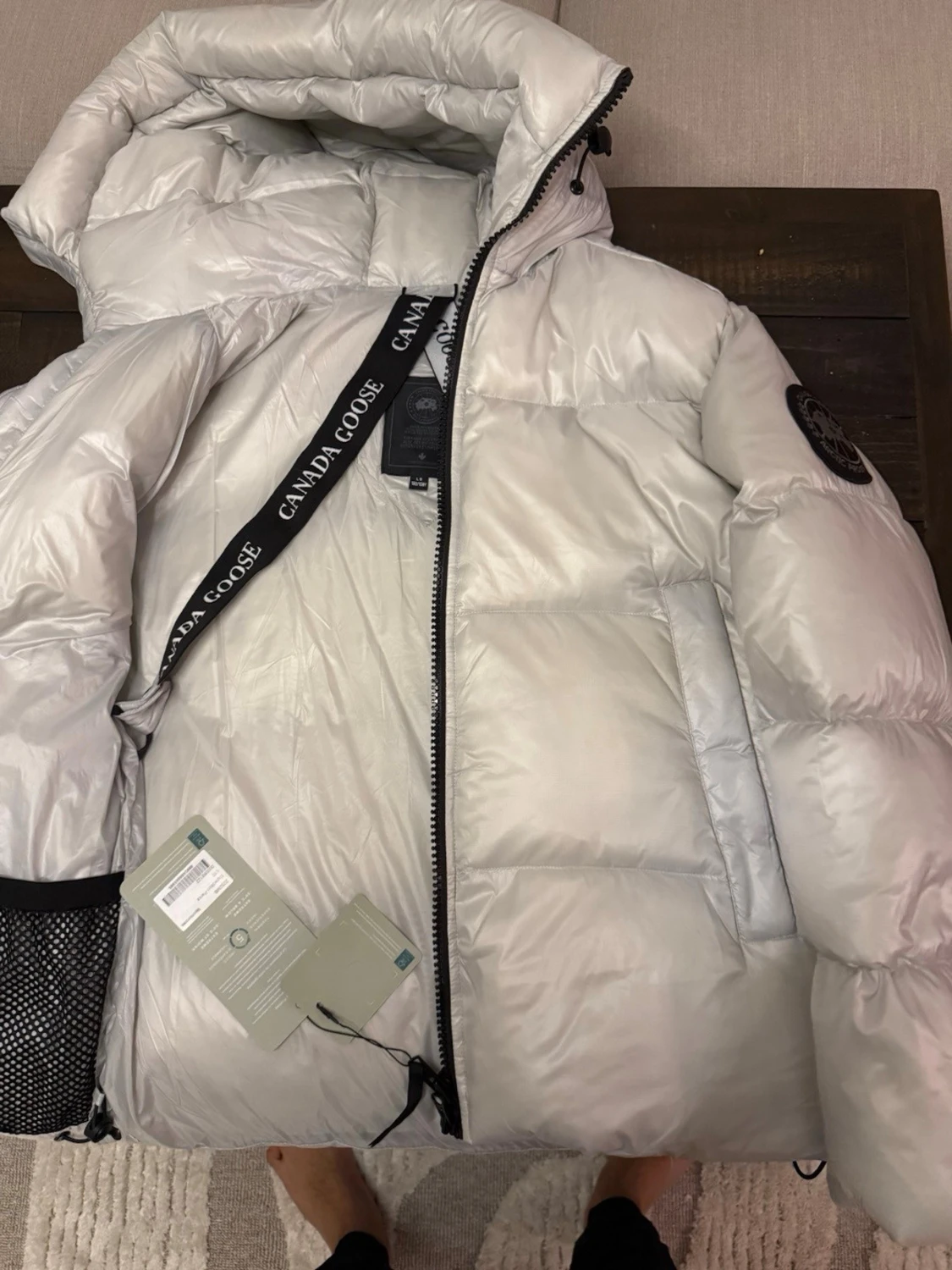 Ljusgrå  Canada Goose - 1