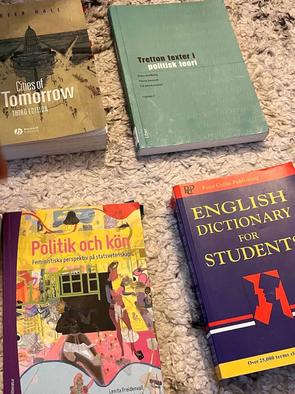 Politik och kön: Feministiska perspektiv på statsvetenskap - 1