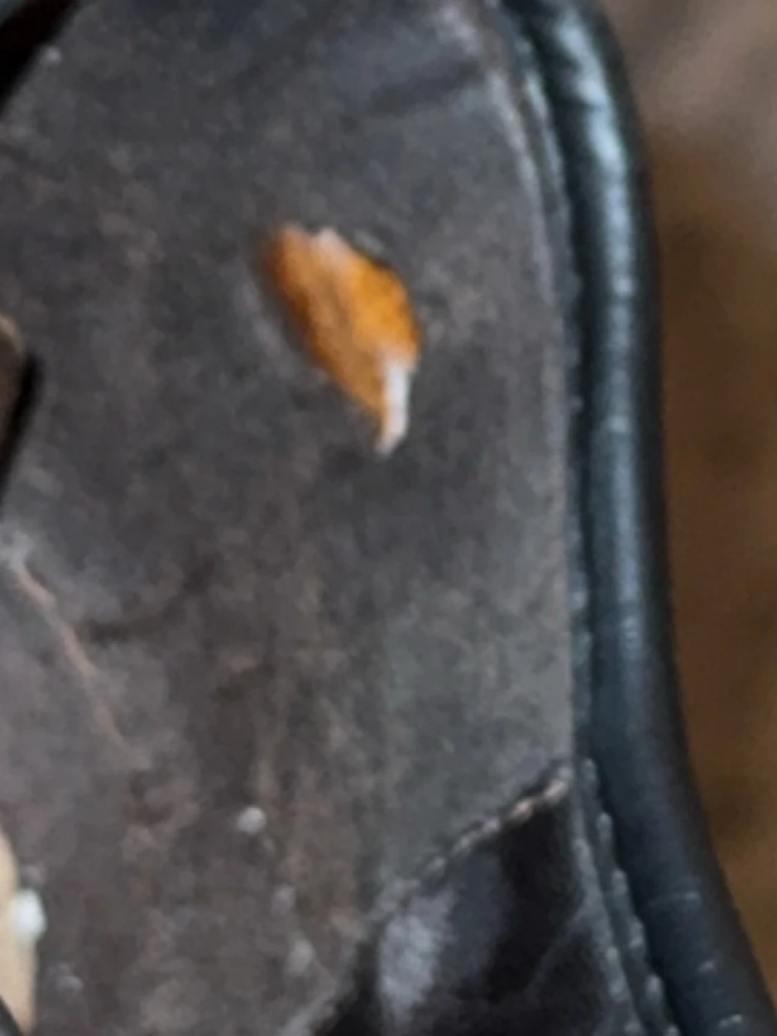 Lanvin sneakers i mörkbrun mocka - 3