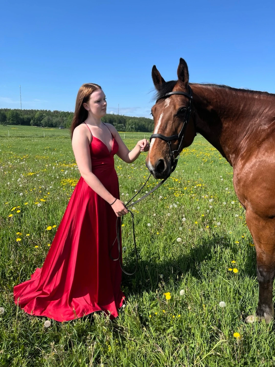 Röd balklänning med öppen rygg - 1