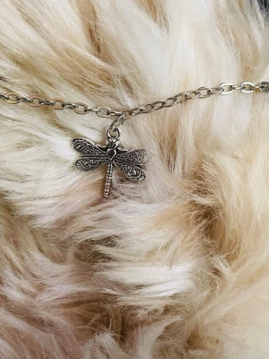 By prisförslag- katt/hund halsband slända storlek Small - Passar små hundar och katt. Finns även i större storlek.