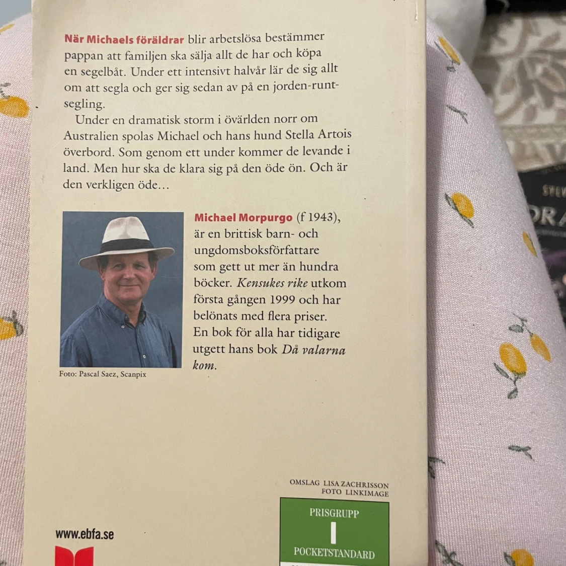 Kensukes rike -pocket bok - 1