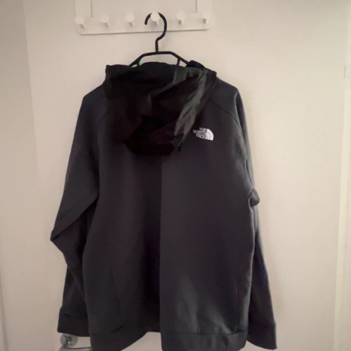 The north face hoodie - 1