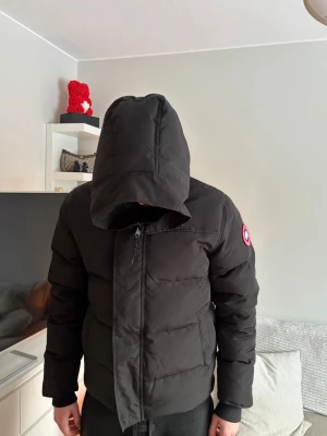 Svart dunjacka från Canada Goose - Säljer en svart oanvänd dunjacka från Canada Goose med huva och dragkedja framtill. Jackan har en klassisk pufferlook, logga på ärmen och stora fickor. Perfekt för kalla vinterdagar och riktigt snygg. Bara att höra av er vid funderingar😊