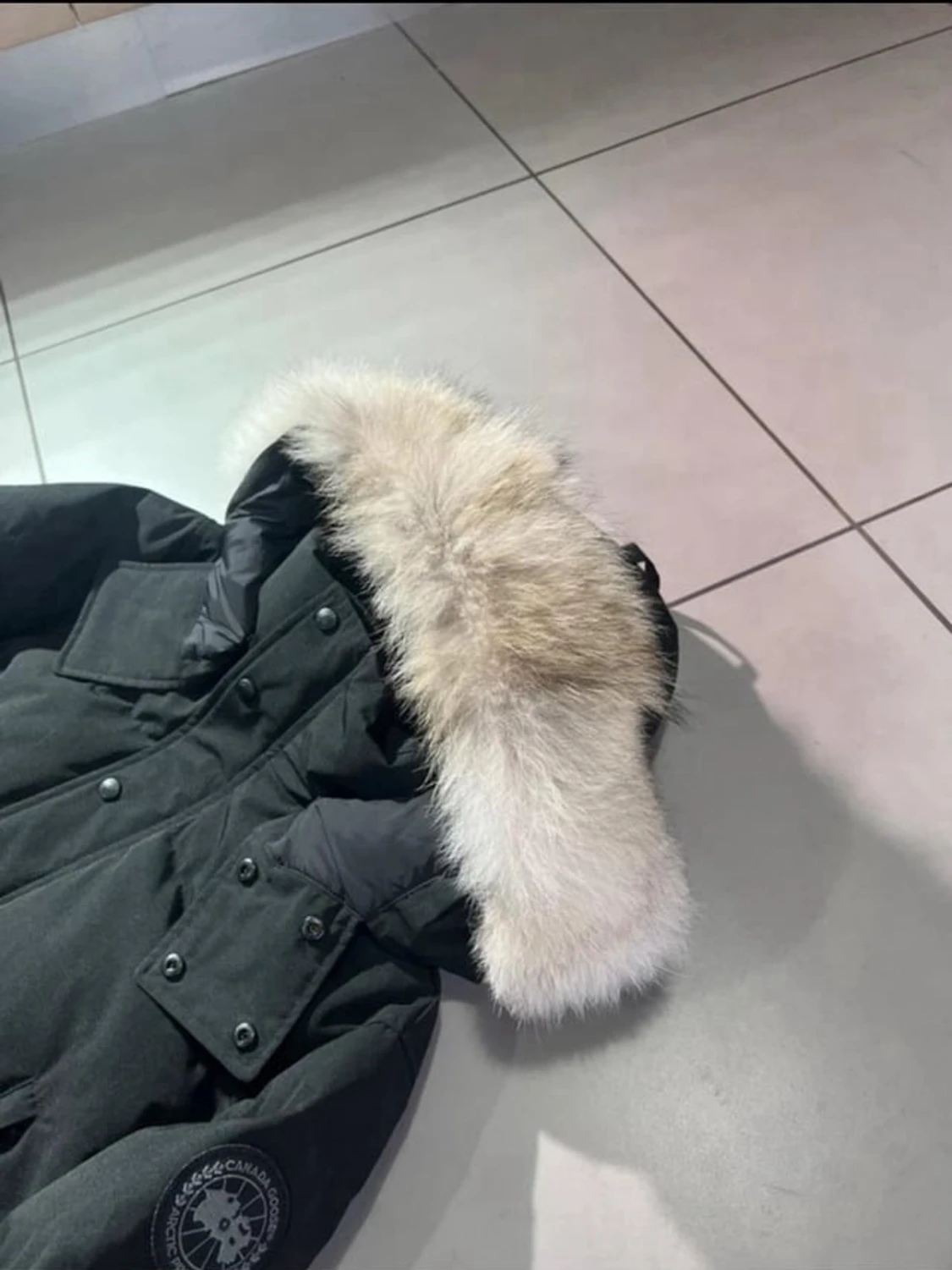 Svart Canada goose med svart badge - 2