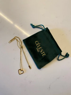 Céleste Paris halsband - Superfint oanvänt halsband från Céleste Paris med tillhörande smyckespåse. Tillverkad i högkvalitativt rostfritt stål och pläterad med 18 karat guld. Nypris 699kr☺️