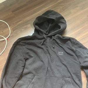 Svart Hov1 hoodie med tour-tryck - Svart hoodie från Hov1 från deras spelining 2023, aldrig använd förutom på konserten!🥰går inte att köpa online osv 🥰