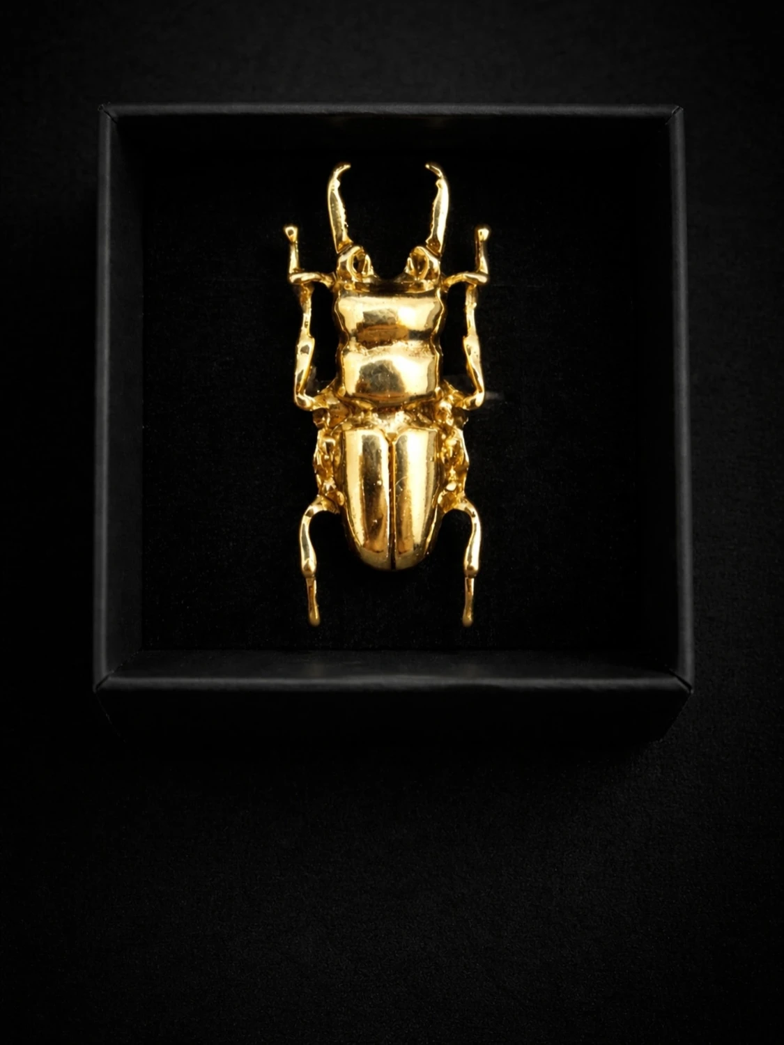 Guldfärgad skalbaggering