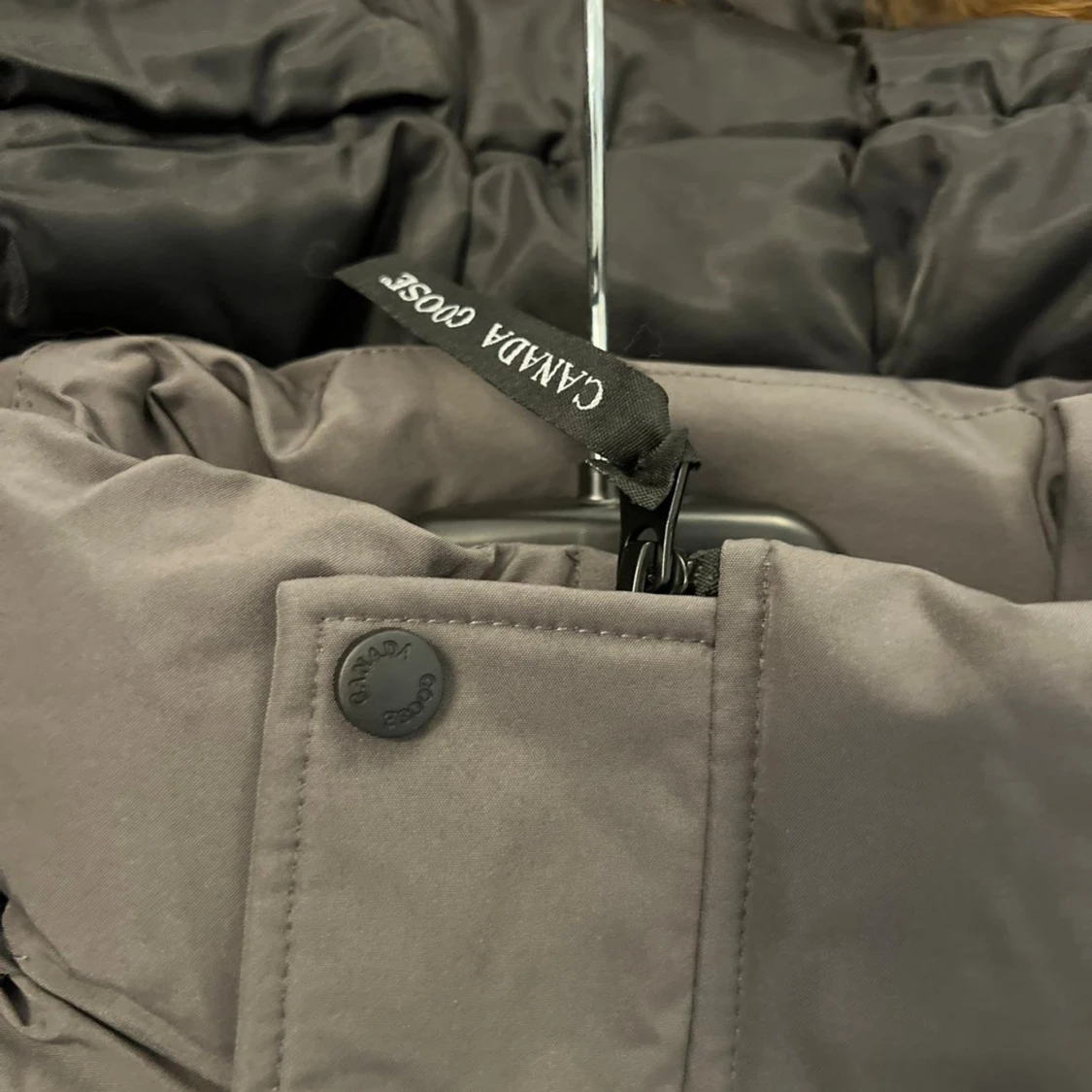 Grå canada goose - 4