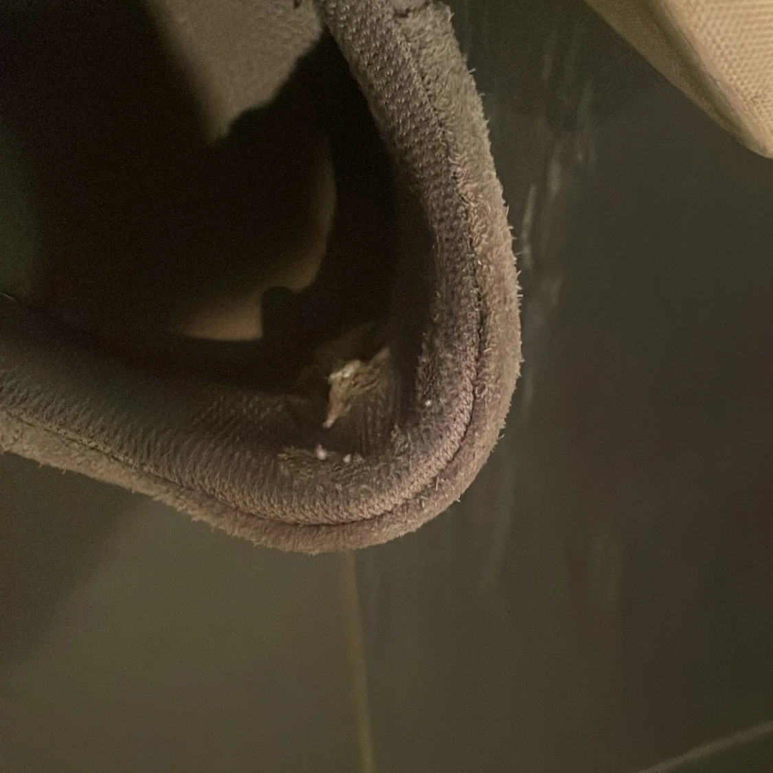 Grå selected homme skor  - 3