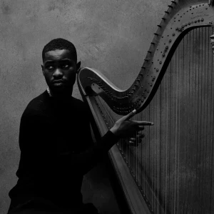 Dave konsert biljetter 2 st - 2st biljetter till Dave på Avicii Arena, Stockholm, 17 februari 2026. Evenemanget utlovar en unik musikupplevelse. Sittplatser i sektion a21. 