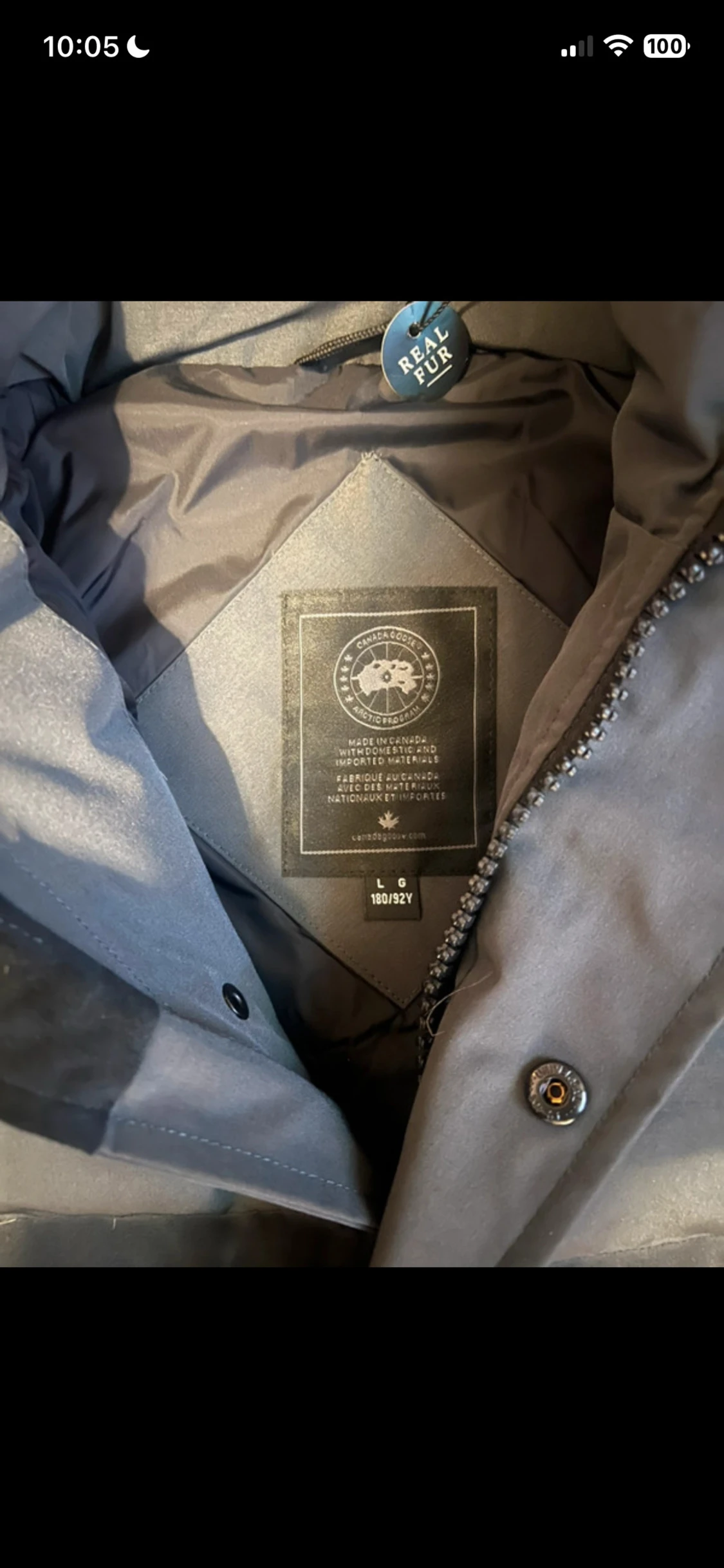 Canada goose Wyndham  - 2