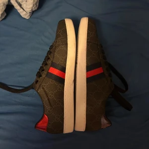 Gucci skor - Säljer dessa snygga Gucci ace skor i storlek 43, skorna har använts bara ett par gånger men insåg att dem var för små för mig då dem va it så bekväma och jag fick skavsår pga dem va för små för mig, extra snören, box osv kommer med, Pris kan diskuteras!! Tveka inte att skriva!!