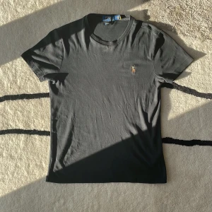Ralph Lauren T-Shirt - T-Shirt från Ralph Lauren | Storlek: S - Skick: 8/10 - Nypris: 899kr - Mitt Pris: 199kr!