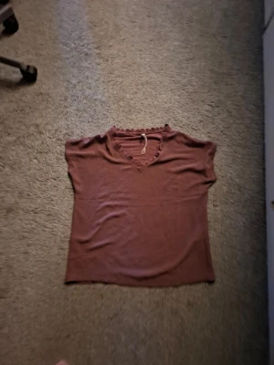 Brun topp med spetsdetalj - Säljer en brun topp med v-ringning och fina spetsdetaljer runt halsen. Toppen har korta ärmar och är gjord i ett mjukt material som känns skönt mot huden. Perfekt att matcha med jeans eller kjol för en enkel men söt look.