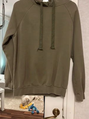 Hoodie  - Grön hoodie från Gina tricot. Använd en del men har mycket kvar att ge. Fint skick! 