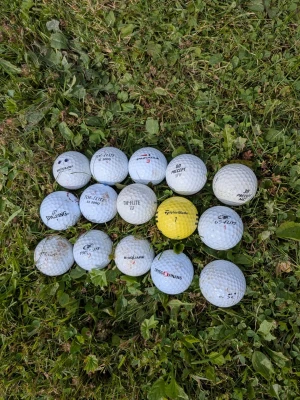 15 st golfbollar - Säljer 15 stycken golfbollar från bland annat TaylorMade, Pinnacle, Top-Flite, Precept, Spalding och Dunlop. Bollarna är begagnade och i varierande skick – perfekta för träning, nybörjare eller en extra uppsättning