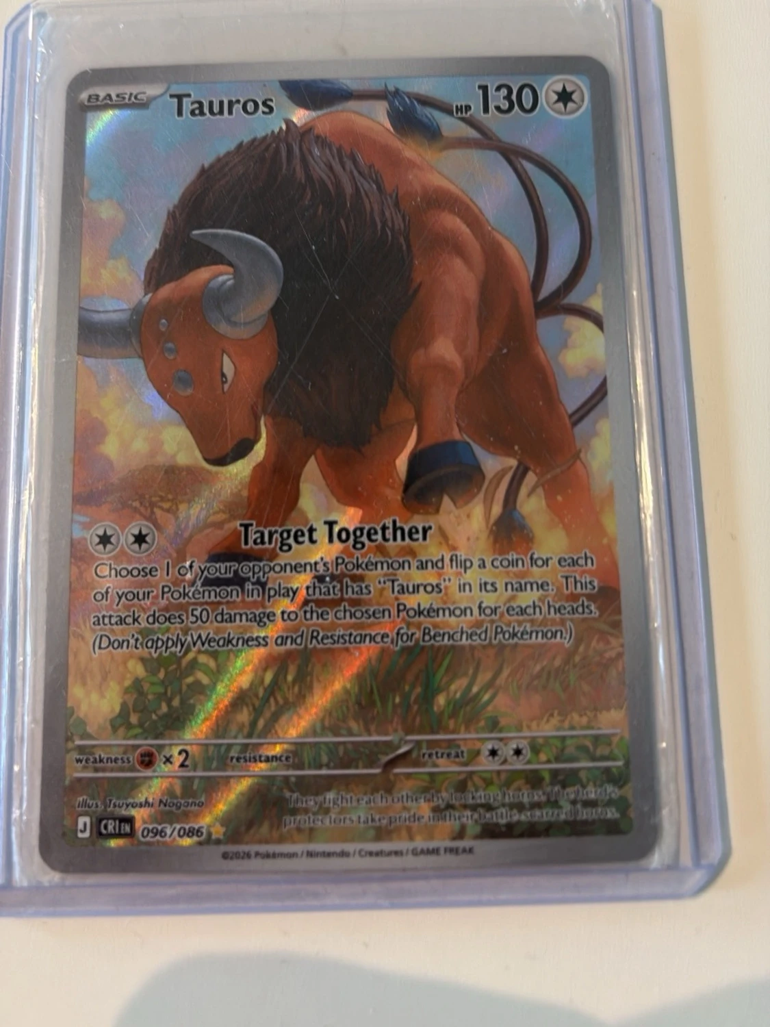Pokémonkort Tauros & Cinccino EX