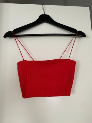 Röd croptop med spagettistraps från Gina Tricot - Röd croptop med spagettistraps (går ej att justera) från Gina Tricot i storlek s. Den är relativt kort och är mer som en tubtop. Mycket bra skick!