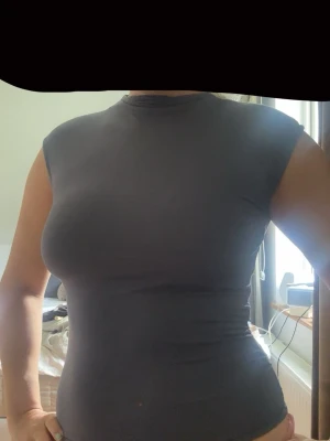 Blågrå tight ärmlös topp - Säljer en blågrå, tight och ärmlös topp med hög hals. Toppen har en enkel och stilren design som passar perfekt till jeans eller kjol. Materialet känns mjukt och stretchigt, vilket gör den bekväm att bära hela dagen.
