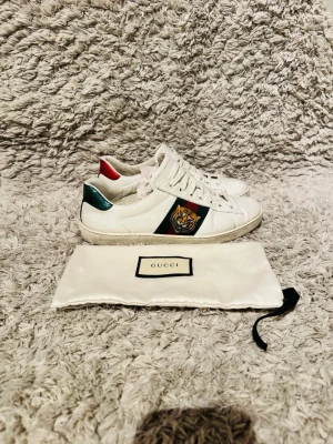 Gucci Ace Tiger - | Skick: 8/10 | Färg: Vit | Tillkommer: Enbart skorna | 