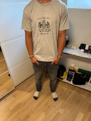 Ljusgrå t-shirt från Bvaldi - Säljer en ljusgrå t-shirt från Bvaldi med tryckt logga och text på bröstet. T-shirten har normal passform, rund halsringning och korta ärmar. Priset är inte hugget i sten vid en snabb affär 🪨 