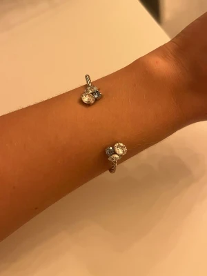 Caroline Svedbom armband  - Säljer detta armband från Caroline Svedbom med silver och ljusblåa stenar. Box tillkommer🩷🩷🩷