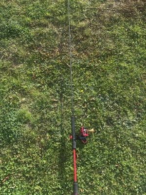 Svart och röd fiskespö Abu Garcia - Fiskespö från Abu Garcia i svart och rött med EVA-handtag och rulle. Spöt har texten 'MAX' och är gjort i lätt material, perfekt för fiskeutflykter. Snygg design med röda detaljer och robust konstruktion. Perfekt för nybörjare eller som ett reservspö 