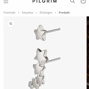 Örhängen  - Pilgrim örhängen! Endast testade men inte användnit sen dess! 💗💗som nya skriv för intresse🫶🏼