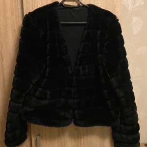 100kr  - Används inte längre har använts några enstaka gånger bara