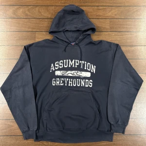 Champion Greyhounds Hoodie - Snygg vintage Hoodie från Champion i storlek L! Bara att skriva om du undrar över något🙏
