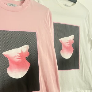 Emelie Briting-NA-KD tshirts - Säljer mina två fina t-shirts från NA-KD designat av Emelie Briting. Helt slutsålda och såld ej längre. Knappt använda och finns därför inga tecken på användning. Båda för 250kr eller 150kr/st. Frakt ingår ej i priset. Kan mötas upp i karlstad💕