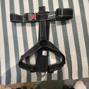 Hundsele - Endast testad men var för stor  250kr Kan fraktas om du står för frakten 