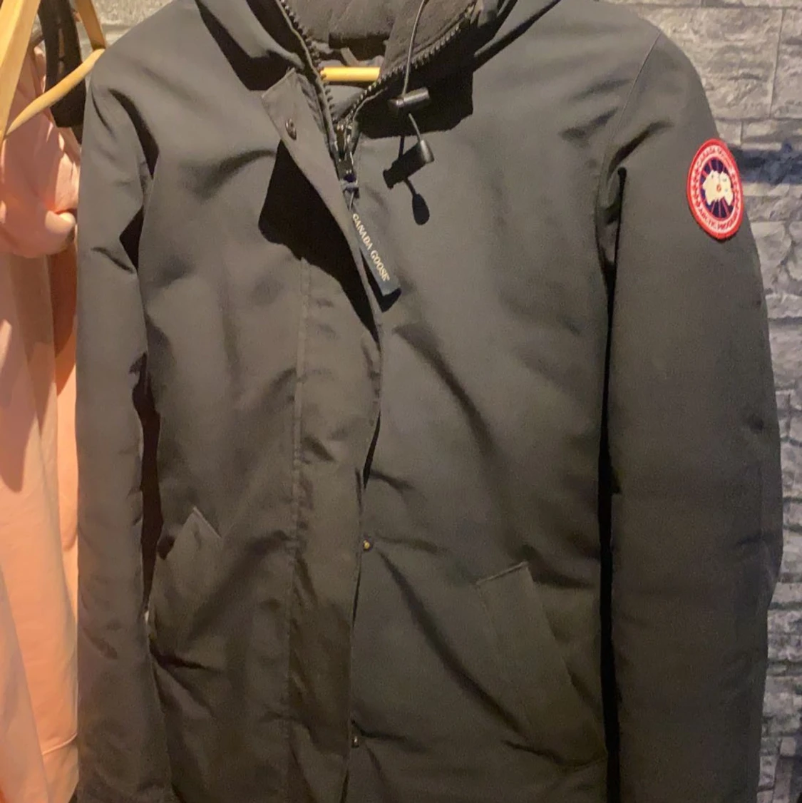 Canada goose jacka dam - 90