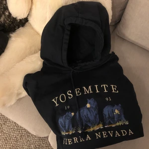 Hoodie från Brandy melville  - Mörkblå hoodie från Brandy Melville i storlek Onesize. Den sitter rätt Oversized vilket är supersnyggt! Jättemysig att ha hemma eller till en cool outfit ute!