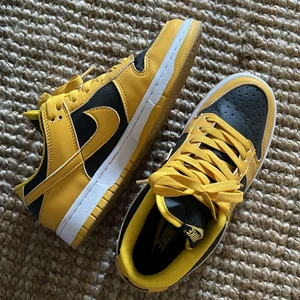 Nike dunk ej äkta  - Strl 37 använd en gång 