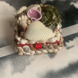 Liten låda med snäckor på - Gullig liten låda full med snäckor på