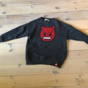 Zara sweatshirt  -  Fint skick. man kan dra den till olika motiv .