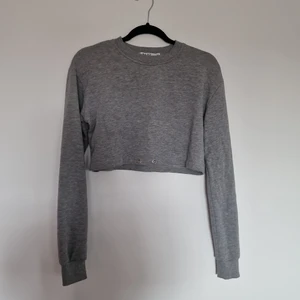 Långärmad grå croptop - Långärmad grå croptop från NA-KD.  Har varit ett snöre till men det är tyvärr borta sen länge. Storlek M   Katt finns i hemmet
