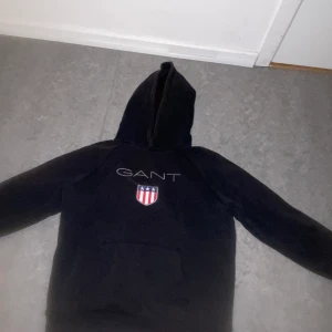 Gant - Hoddie