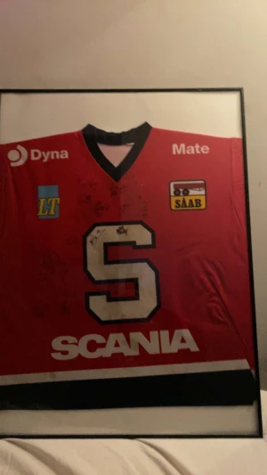 Ssk tröja  - Hejsan! Min vän säljer sina ssk tröjor me autograf från ssk spelare.. mer info får ni  skriva till mig.