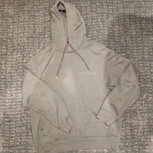 H&M hoddie - Hoddie från H&M, inte använde så mycket, lite nopprig, !Den är lite mer blå än på bilden!