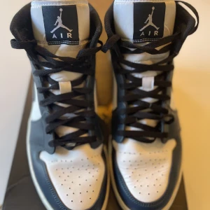 Air Jordan 1 Dark teal - Säljer mina Jordan 1 Dark teal. Knappt andvända och i väldigt bra skick. Skolådan inkluderas men den är lite trasig ett ett hörn. Storlek 47,5. Pris kan diskuteras