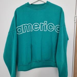 Sweatshirt - Fint skick