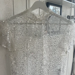 Glittrig tröja  - En genomskinlig, glittrig tröja från Zara, aldrig använd!