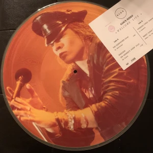 Guns n’ Roses Bild-LP vinyl raritet - Ospelad, som ny. Mint